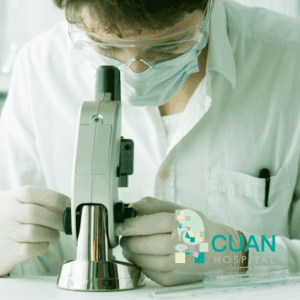 Fragmentación de DNA