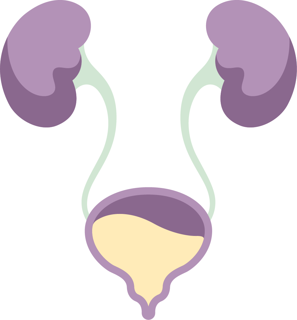 ¿Qué es el dolor de las vías urinarias? - CUAN Hospital - Centro de